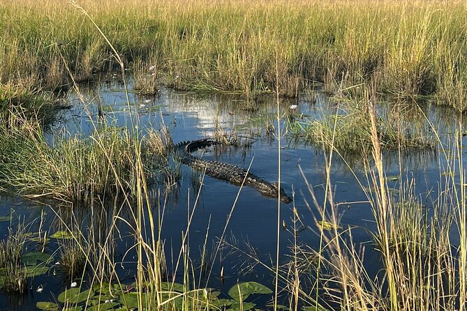 Chobe Day Trip from Victoria Falls - Crossing Kazungula into Botswana