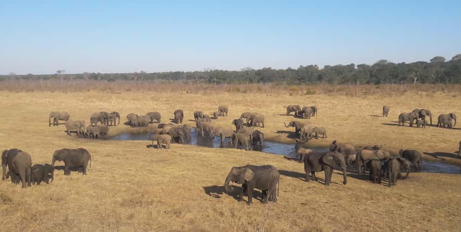 Chobe Extended Day Trip - Why this Chobe day trip takes all day
