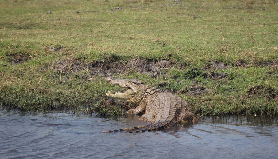 Chobe Extended Day Trip - The ride home and the risk of fatigue
