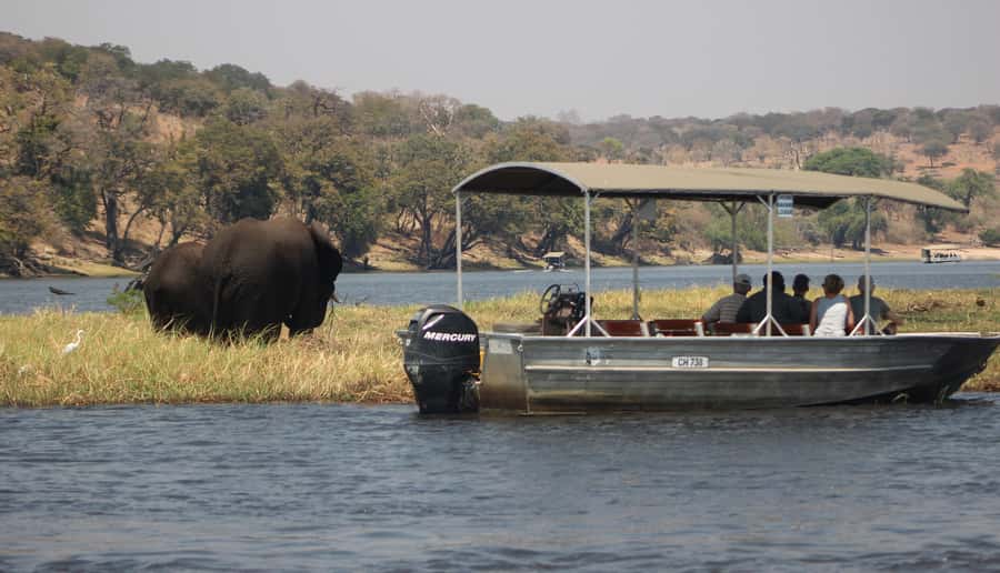 Chobe Extended Day Trip - Who should book this experience