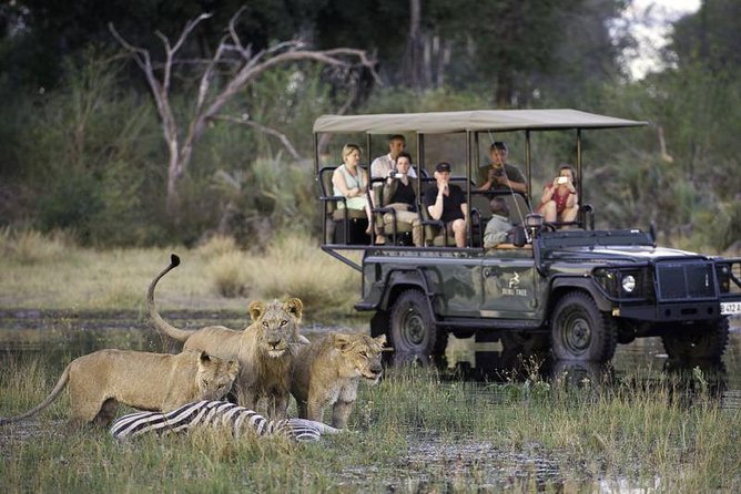 Chobe Extended Day Trip from Victoria Falls - Zimbabwe - Why Chobe Makes a Worthwhile Day Trip from Victoria Falls