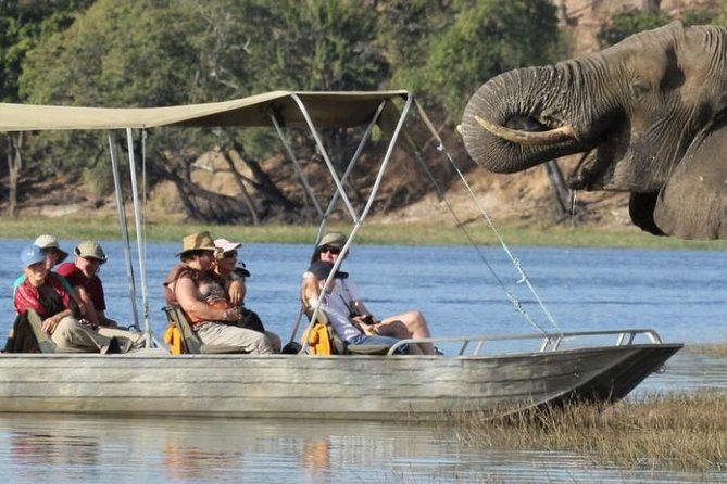 Chobe Extended Day Trip from Victoria Falls - Zimbabwe - The 5 a.m. Pickup and Zambezi National Park