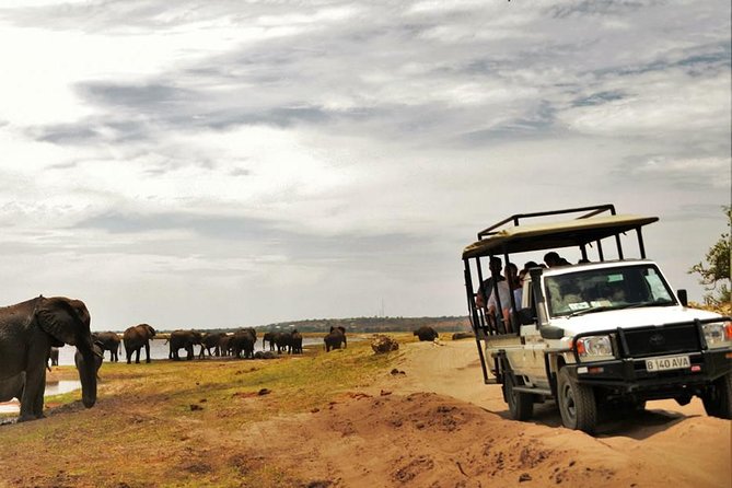 Chobe Extended Day Trip from Victoria Falls - Zimbabwe - Who Should Book This Chobe Experience?
