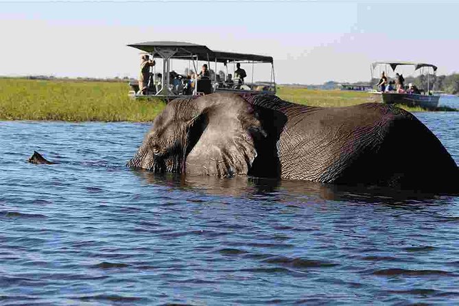 Chobe Extended Day Trip from Victoria Falls - Zimbabwe - Crossing Into Botswana for the Morning Game Drive
