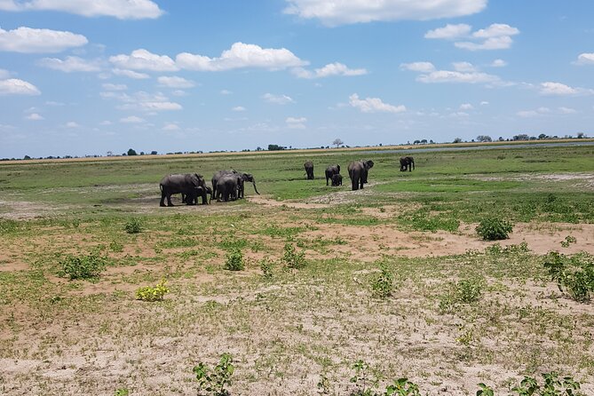 Chobe Full Day Safari in Chobe - What makes this Chobe day trip worth considering