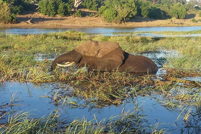 Chobe Full day Safari with Victoria falls Sunrise Tour Combo - Who will get the most from this combo