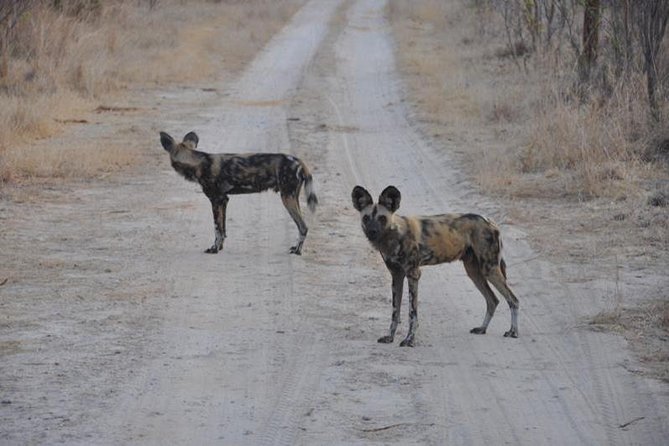 Chobe Full day Safari with Victoria falls Sunrise Tour Combo - Crossing at Kazungula into Botswana