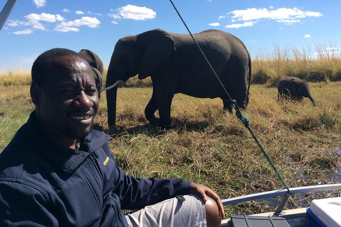 Chobe Full day Trip - Why this Chobe day trip works from Victoria Falls