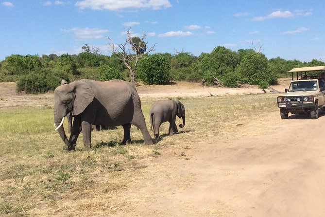 Chobe Full day Trip - Buffet lunch at Chobe Safari Lodge