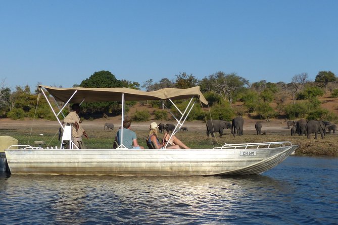 Chobe Full Day Trip From Victoria Falls - Why Chobe makes a strong add-on from Victoria Falls