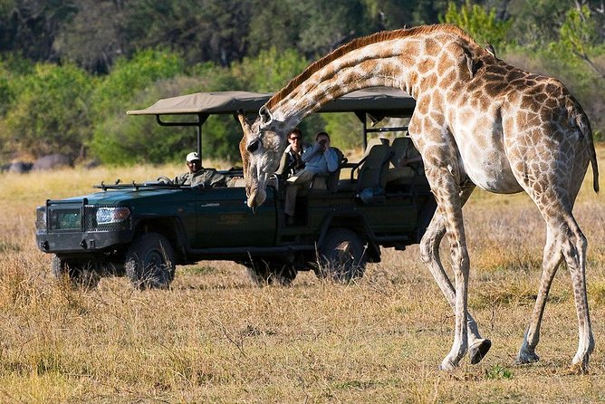 Chobe Full Day Trip From Victoria Falls - Buffet lunch and the middle of the day