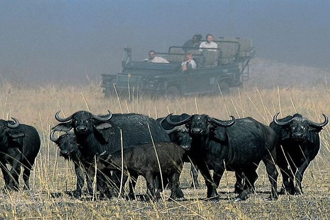 Chobe Full Day Trip From Victoria Falls - The Chobe River cruise