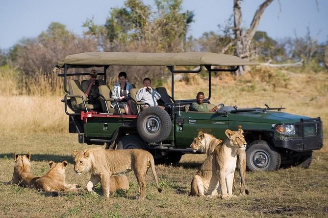 Chobe Full Day Trip From Victoria Falls - Who should book this day trip