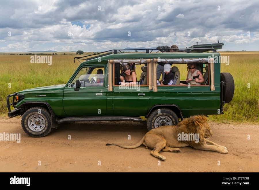 Chobe Half Day Trip from Victoria Falls - Why Chobe works as a half-day outing