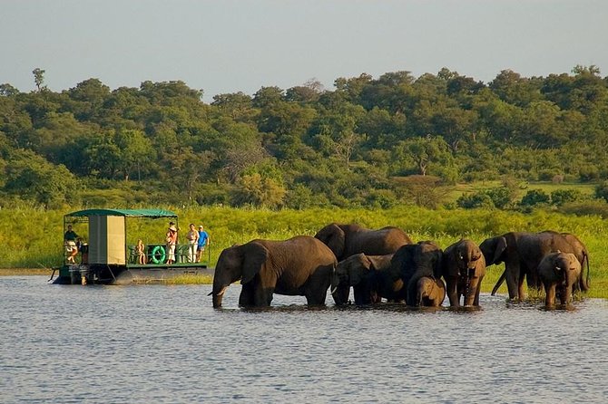 Chobe National Park 4X4 Day Safari and River Cruise - Key points before you book