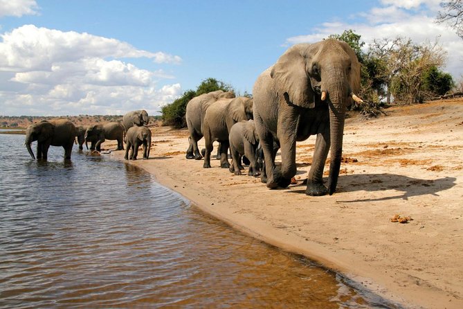 Chobe National Park 4X4 Day Safari and River Cruise - The border crossing and transport reality