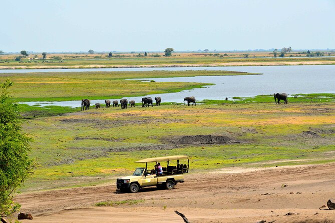 Chobe National Park Day Trip from Victoria Falls with Lunch - Why Chobe works so well as a day trip from Victoria Falls