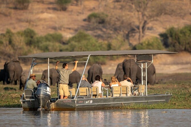 Chobe National Park Day Trip from Victoria Falls with Lunch - A Chobe River cruise before lunch