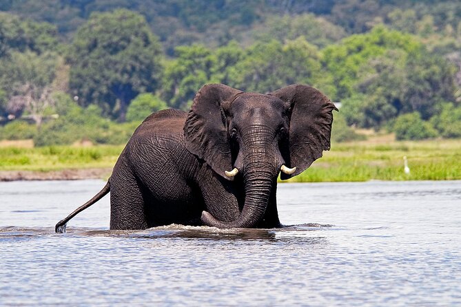 Chobe National Park Day Trip from Victoria Falls with Lunch - Lunch at Cresta Mowana