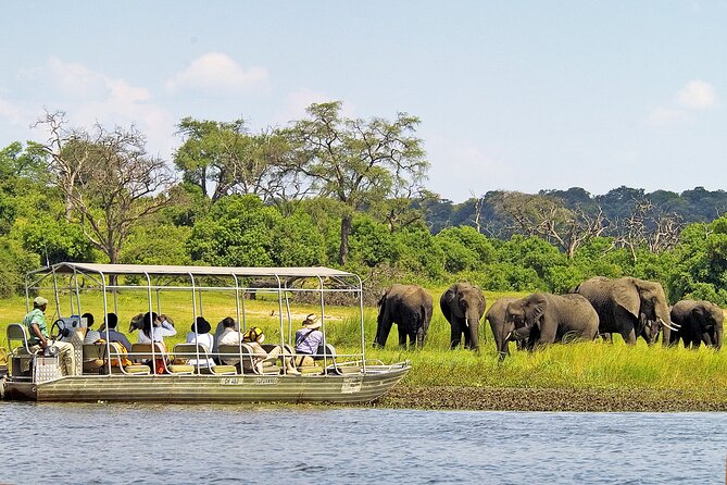 Chobe National Park Day Trip from Victoria Falls with Lunch - The afternoon game drive along the waterfront