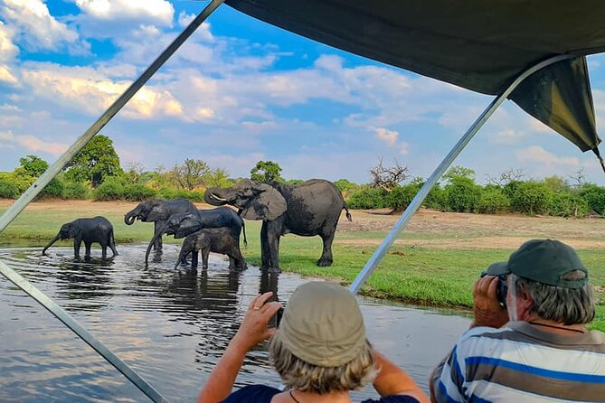 Chobe National Park Day Trip from Victoria Falls with Lunch - Leaving Victoria Falls and crossing at Kazungula