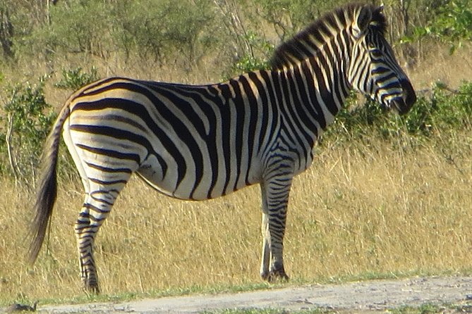 Chobe Safari Overnight Camping Trip - What the price includes, and what it does not