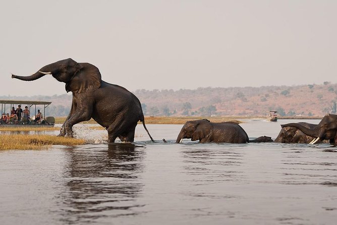 Chobe Sunrise upto Sunset Day trip from Victoria Falls 5AM - 7PM - Leaving Victoria Falls before sunrise