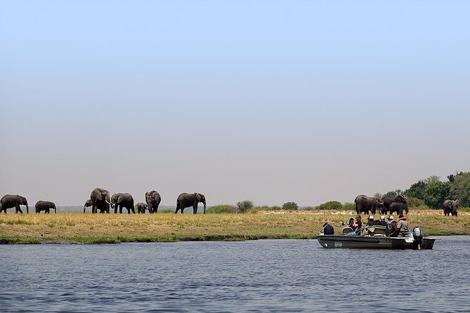 Chobe Sunrise upto Sunset Day trip from Victoria Falls 5AM - 7PM - Buffet lunch and the afternoon pause