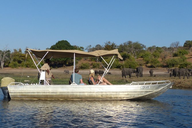 Chobe Sunrise upto Sunset Day trip from Victoria Falls 5AM - 7PM - What the $230 price includes