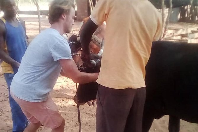 Cultural Village Tour,Interacting With the Communal Villagers (Educational Trip) - Chiefs, marriage, ceremonies, and community responsibility
