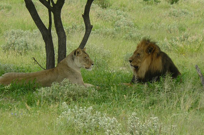Exclusive full day Chobe game drive safari - Why Chobe makes sense from Victoria Falls