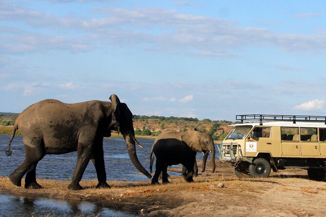 Explore Chobe National Park With a Day Trip from Victoria Falls - The three-hour game drive in Chobe National Park