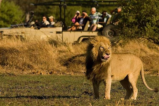Five-Day Hwange NP, Chobe NP and Victoria Falls Combo - Why this five-day route works