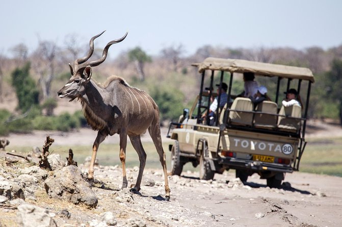 Five-Day Hwange NP, Chobe NP and Victoria Falls Combo - Day 3: Victoria Falls from the baobab tree to the Zambezi