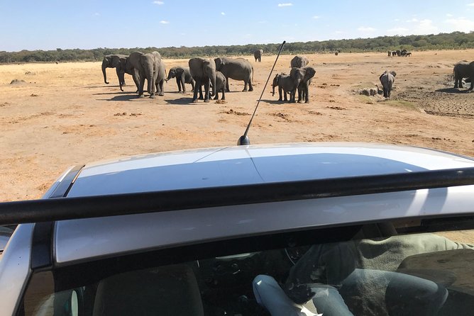 Five-Day Hwange NP, Chobe NP and Victoria Falls Combo - What the $1,875.75 price covers