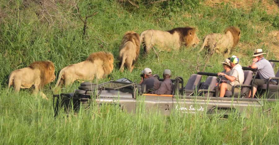 From Kasane: Chobe National Park Full Day Wildlife Safari - Why Chobe is best seen from both water and land