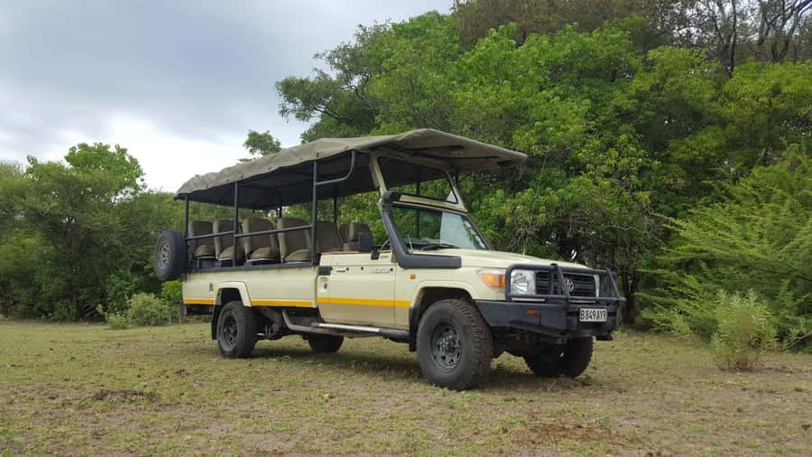 From Kasane: Chobe National Park Full Day Wildlife Safari - Who will get the most from this day