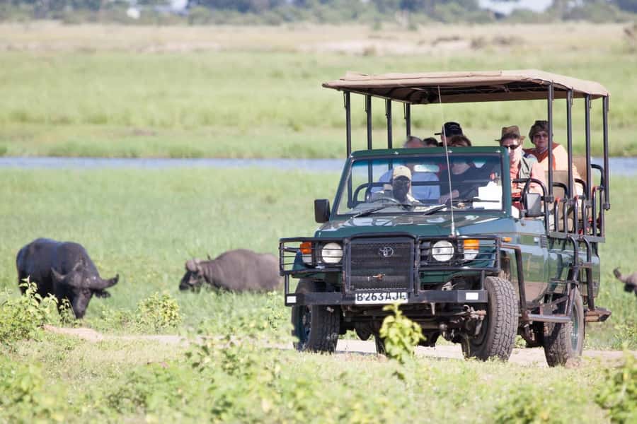 From Kasane: Chobe National Park Full Day Wildlife Safari - FAQ