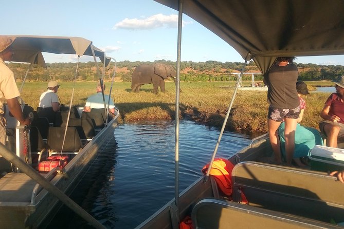 From Victoria Falls: Chobe National Park Small Group Tour - Small group does not mean private