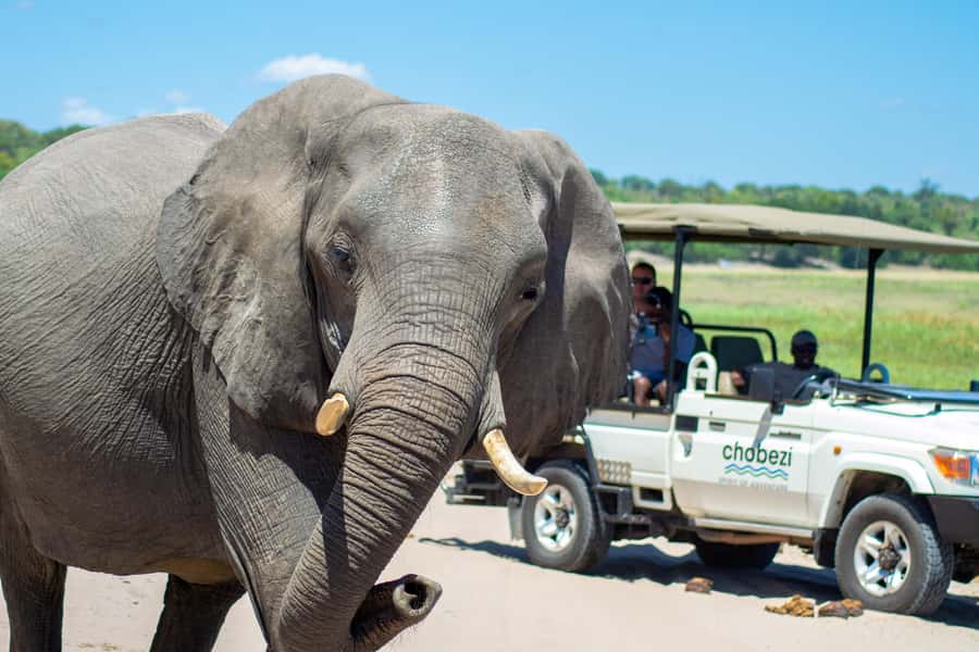 From Victoria Falls: Full Chobe Day trip to Chobe, Botswana - Setting out from Victoria Falls