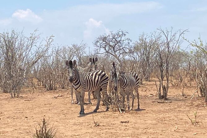 From Victoria Falls: Hwange National Park Day Safari - How the $350 price works out