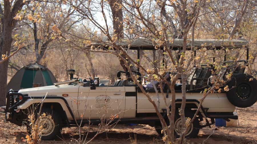 From Victoria Falls: Sunrise to Sunset Chobe Safari - Key points to know before booking