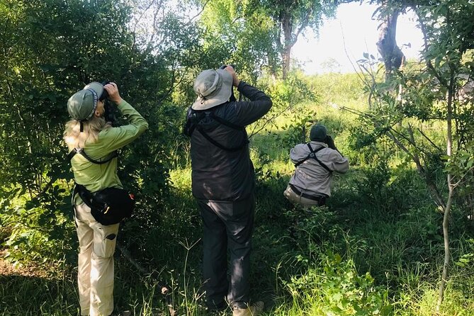Full Day Birding Zambezi National Park Includes Picnic Lunch - Key things to know before booking