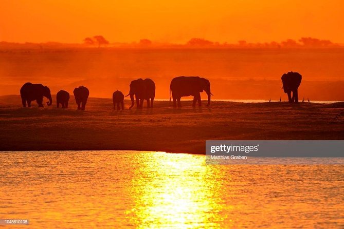 Full Day Chobe National Park Big 5 Safari - Why the boat and game drive combination works