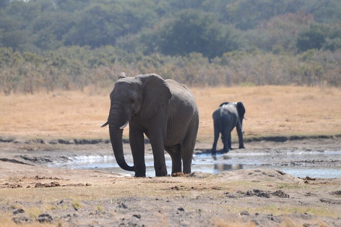 Full Day Chobe Trip with Lunch - What the $165 price really covers