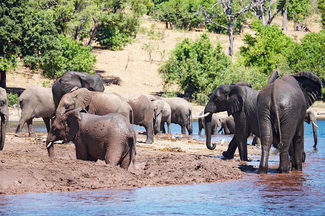 Full Day Zambezi National Park Golden Safari - Why the nearby Zambezi parks make sense