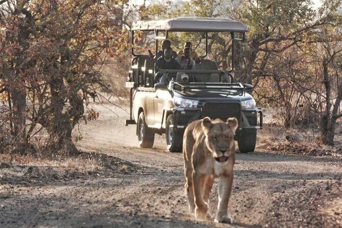 Full-Day Zimbabwe Zambezi National Park Safari & Lunch - Booking Details Worth Checking