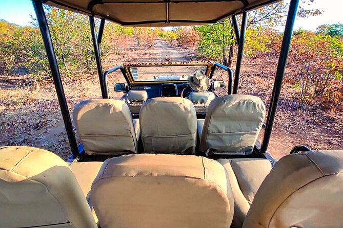 Guided 4x4 Town Safari in Victoria Falls - Markets, shops, restaurants, and bars