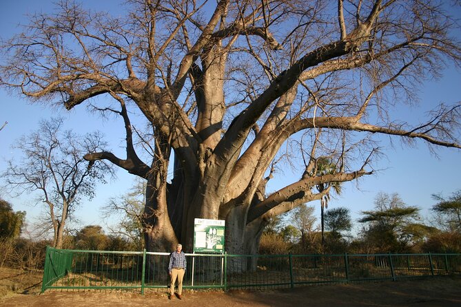 Guided 4x4 Town Safari in Victoria Falls - Entering Chinotimba township