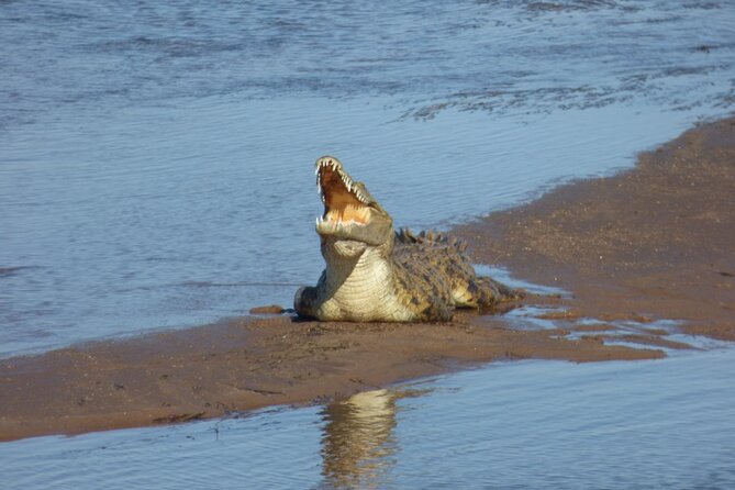 Guided Falls Tour & Zambezi River Cruise Combo - Guides, group size, and the pace of the day